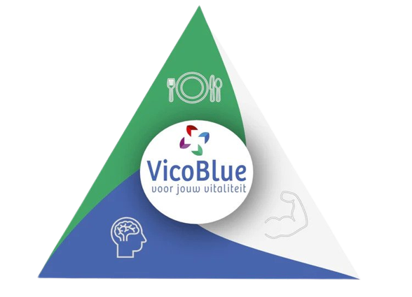 VicoBlue