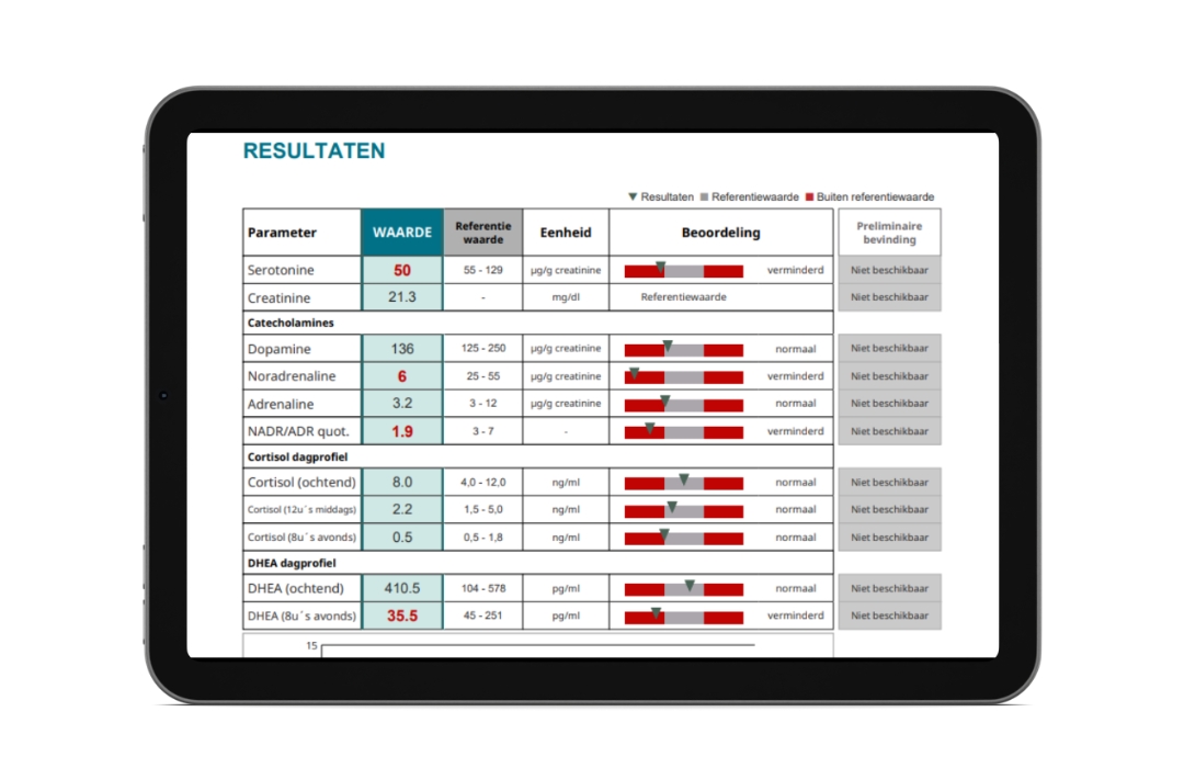 resultaat stress test