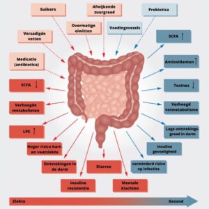 Gezonde-darmflora-test-VicoBlue