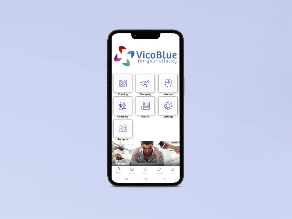 VicoBlue App