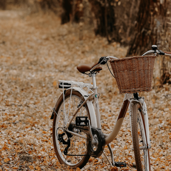 bewegen in de herfst