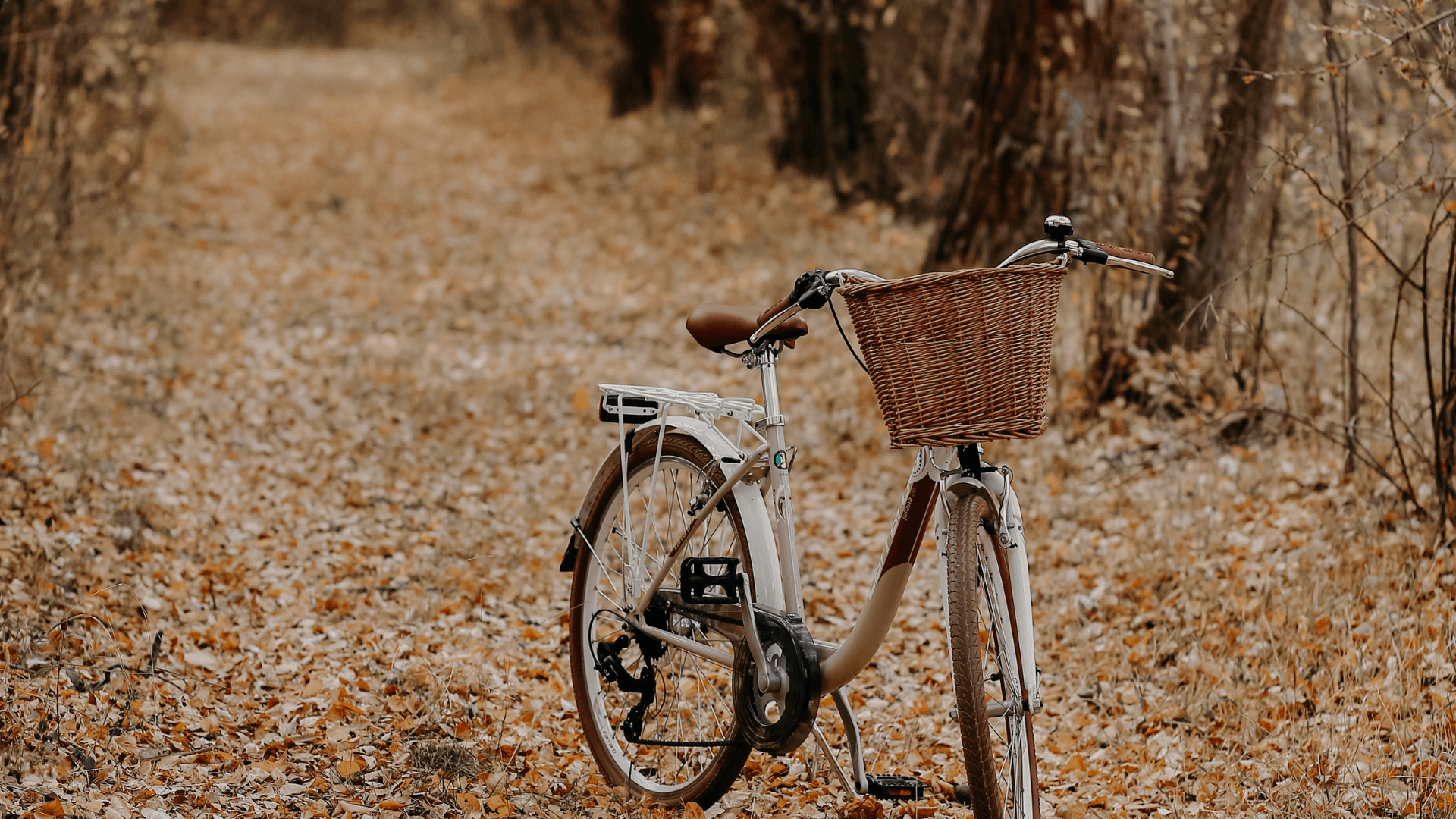 bewegen in de herfst