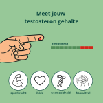 testosteron test